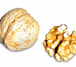 Walnut side effects